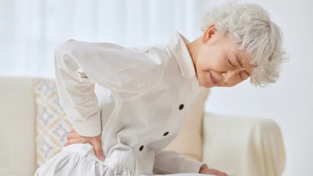 senior back pain causes